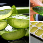 Ways-to-Use-Aloe-Vera-That-Сan-Make-Your-Life-Easier-2