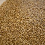 sesame-1155935_960_720