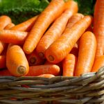 vegetables-market-basket-carrots-37641