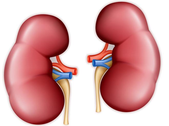 10 Warnings you Get When your Kidneys Start Failing | FullnessBuzz